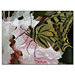 Fotokarte Schmetterlinge 11